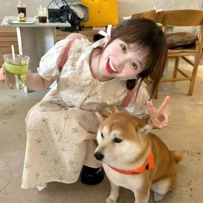 我的青春在黄昏落下